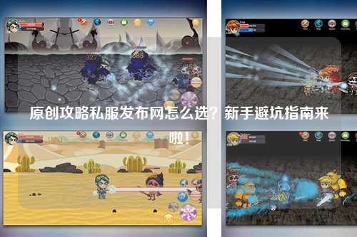 原创攻略私服发布网怎么选？新手避坑指南来啦！